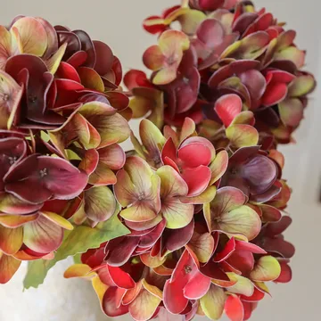 Hydrangea 绣球花 仿真花艺术装置 - 深勃艮第红，60cm，6个 - Botané