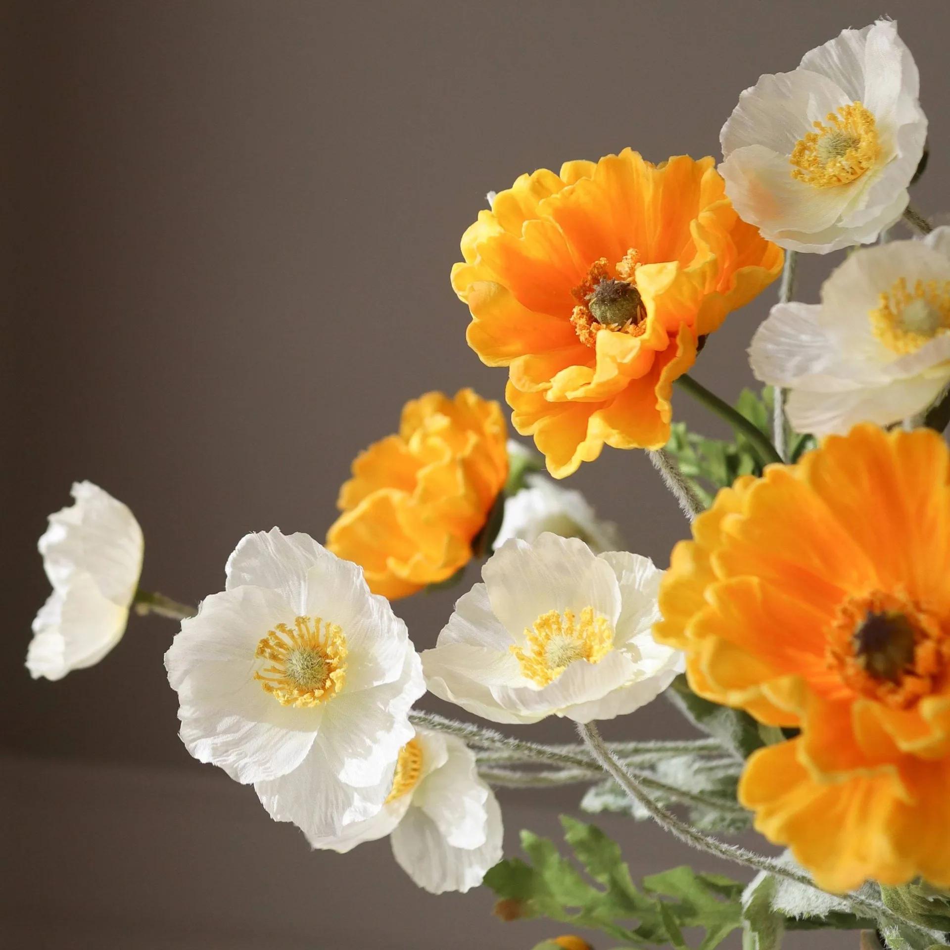 Poppy 虞美人 仿真花艺术装置, 日光色_白色-橙色 Botané