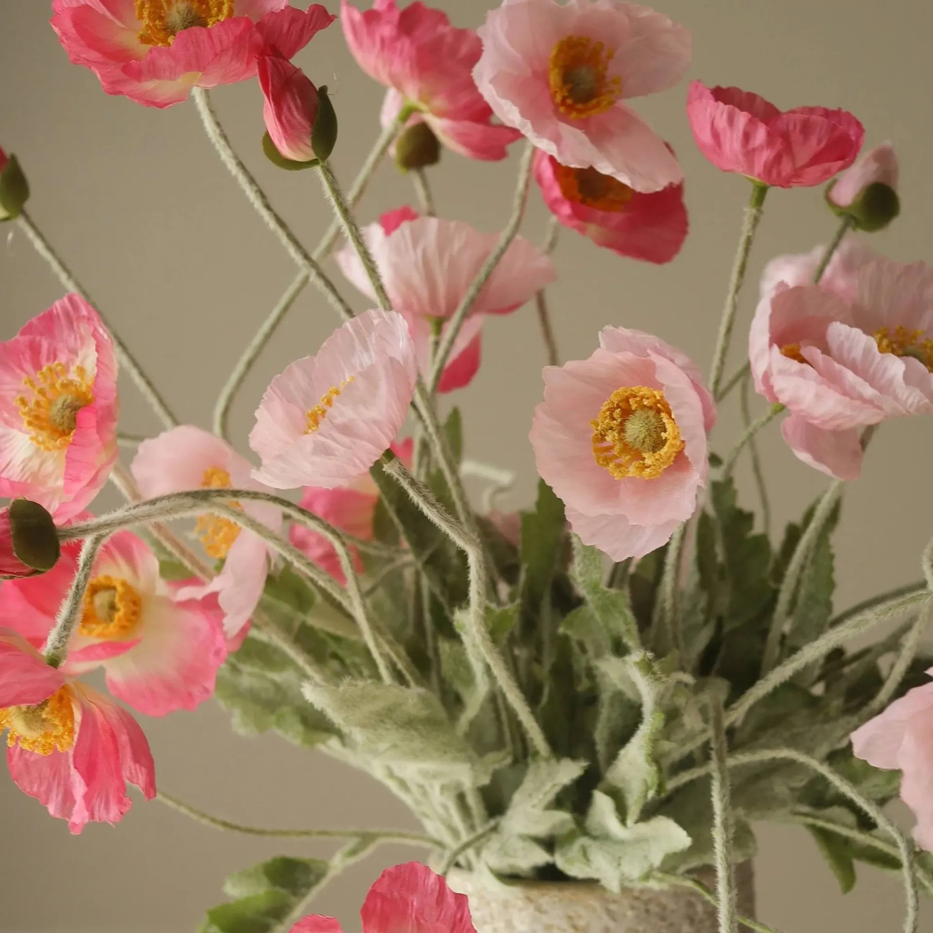 Poppy 虞美人 仿真花艺术装置, 粉色追踪_浅粉色-粉色_10支装 Botané