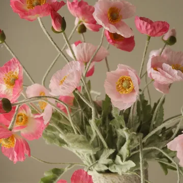 Poppy 虞美人 仿真花艺术装置 - 粉色追踪_浅粉色-粉色_10支装 - Botané