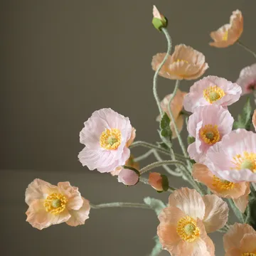 Poppy 虞美人 仿真花艺术装置 - Sorbet Kisses_浅粉色_珊瑚色_11支 - Botané