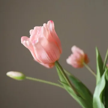 Triumph 胜利郁金香 仿真花艺术装置 - 浅粉色_10支装 - Botané