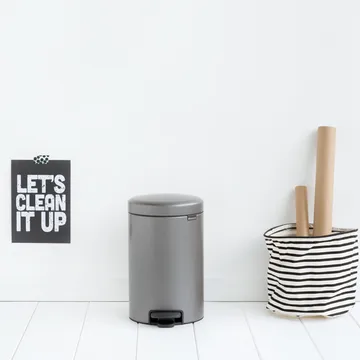 New Icon 新经典脚踏垃圾桶12升 - 铂金色 - Brabantia
