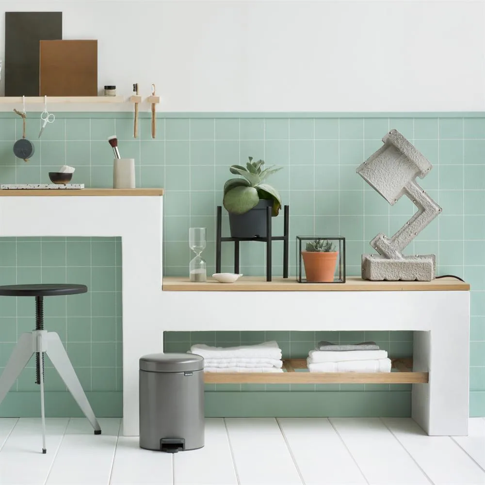 New Icon 新经典脚踏垃圾桶5升, 铂金色 Brabantia