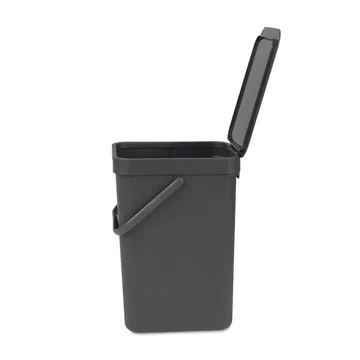 Sort & Go 分类垃圾桶 12升 - 灰色 - Brabantia