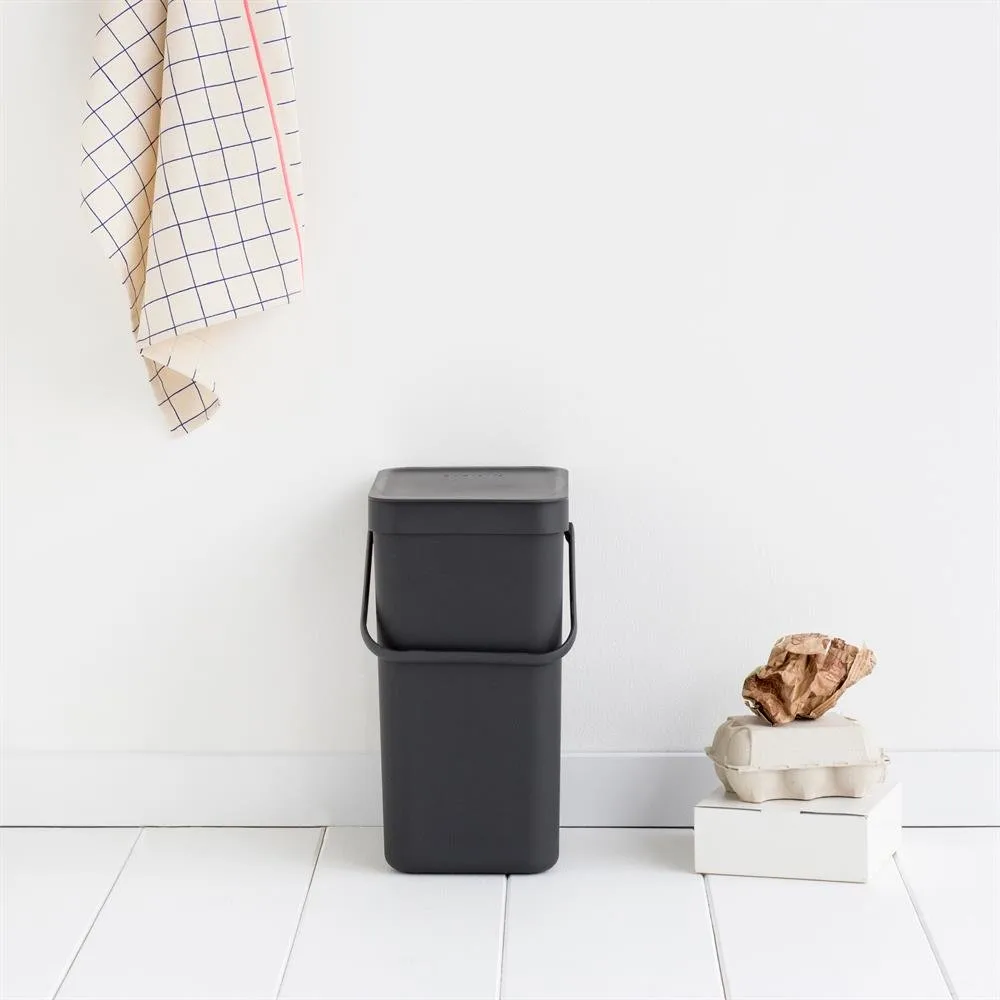 Sort & Go 分类垃圾桶 12升, 灰色 Brabantia