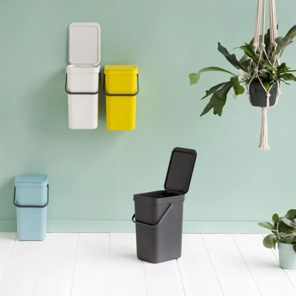 Sort & Go 分类垃圾桶 12升, 灰色 Brabantia