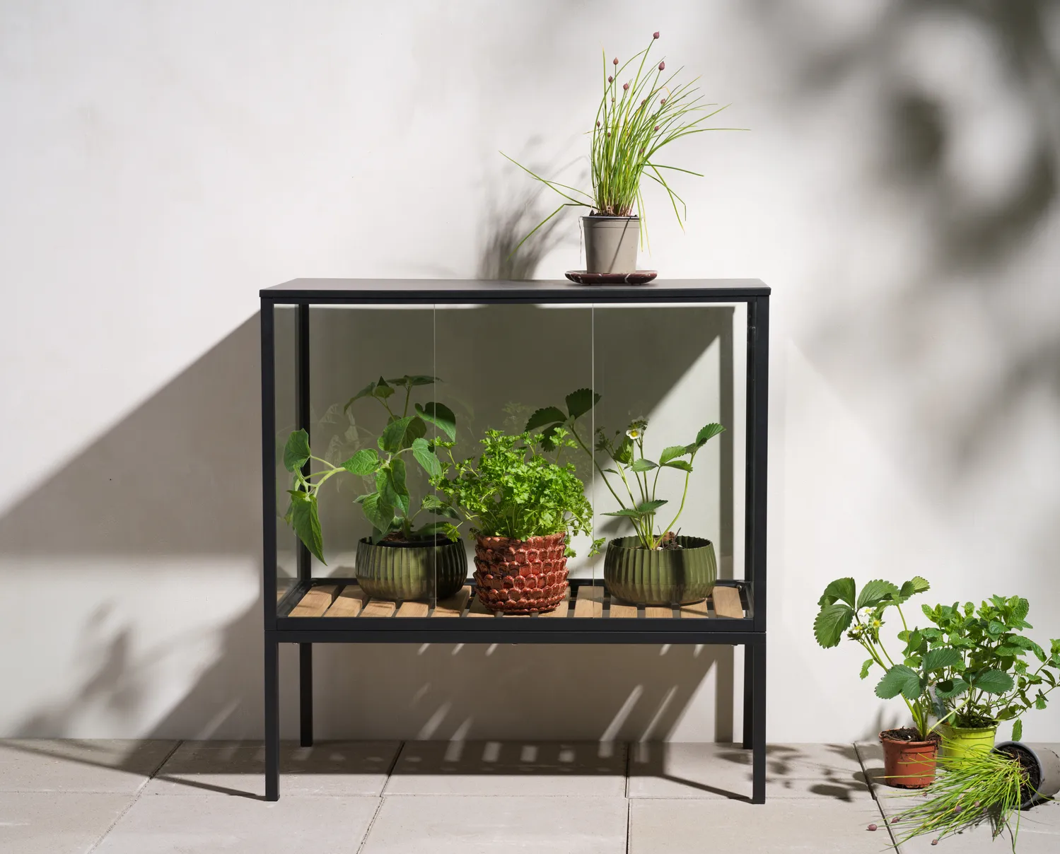 Grower Greens 种植柜, 黑色_81x82cm Brafab