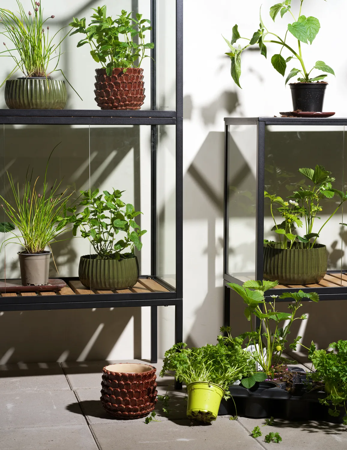 Grower Greens plant 柜子, 黑色, 81x82 cm Brafab