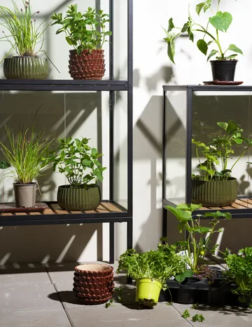 Grower Greens plant 柜子 - 黑色, 81x82 cm - Brafab