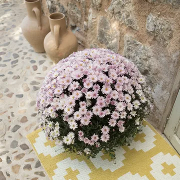Flower_地毯_太阳黄 - 70x150cm - Brita Sweden