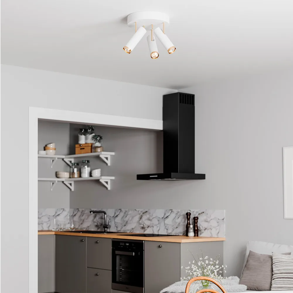 Puls 天花板吸顶灯/聚光灯, 白色 By Rydéns