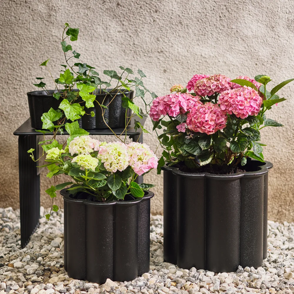 Gråsippa 花盆, 黑色_1号_Ø33cm Byarums bruk