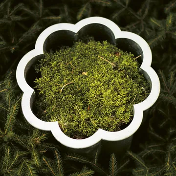 Gråsippa 花盆 - 砂铸铝_2号_Ø41cm - Byarums bruk