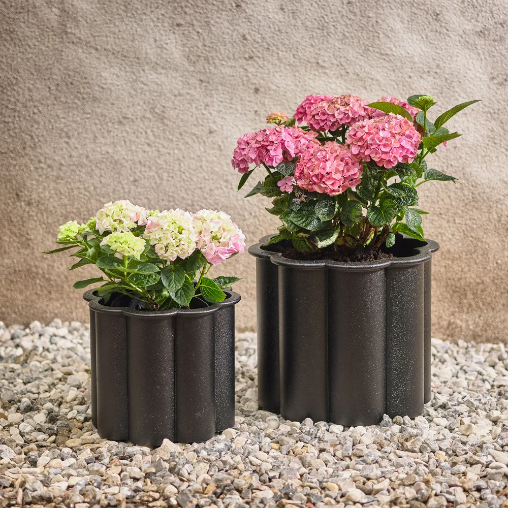 Gråsippa 花盆, 黑色_2号_Ø41cm Byarums bruk
