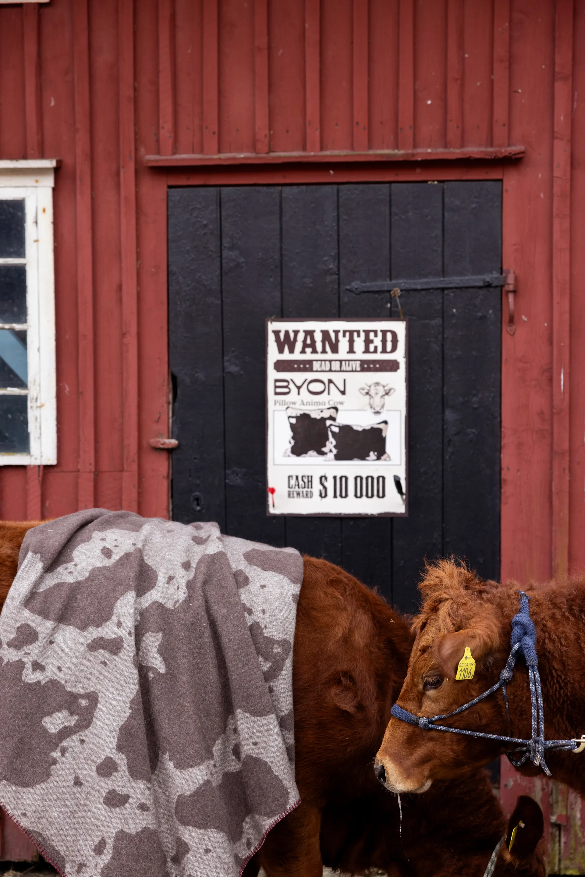 Anima 毯子 130x200 cm, 奶牛花纹 Byon