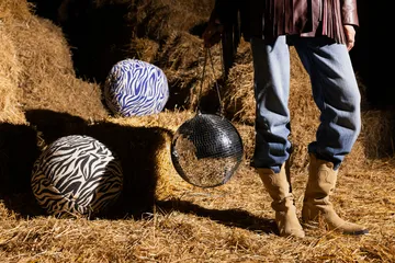 Anima 靠枕|靠垫 L 40x60 cm - 斑马-黑色 - Byon