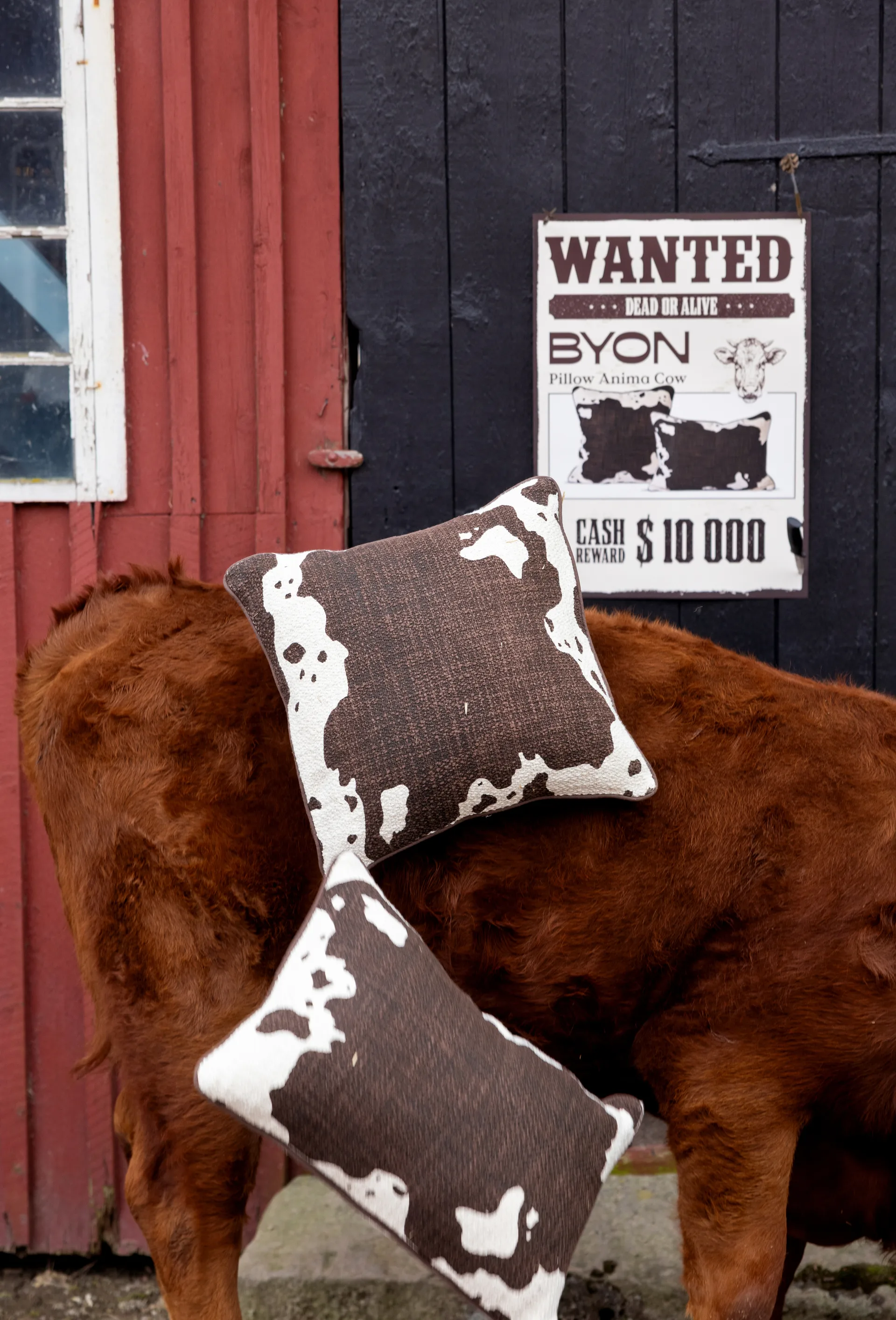 Anima 靠枕|靠垫 L 40x60 cm, 奶牛花纹 Byon