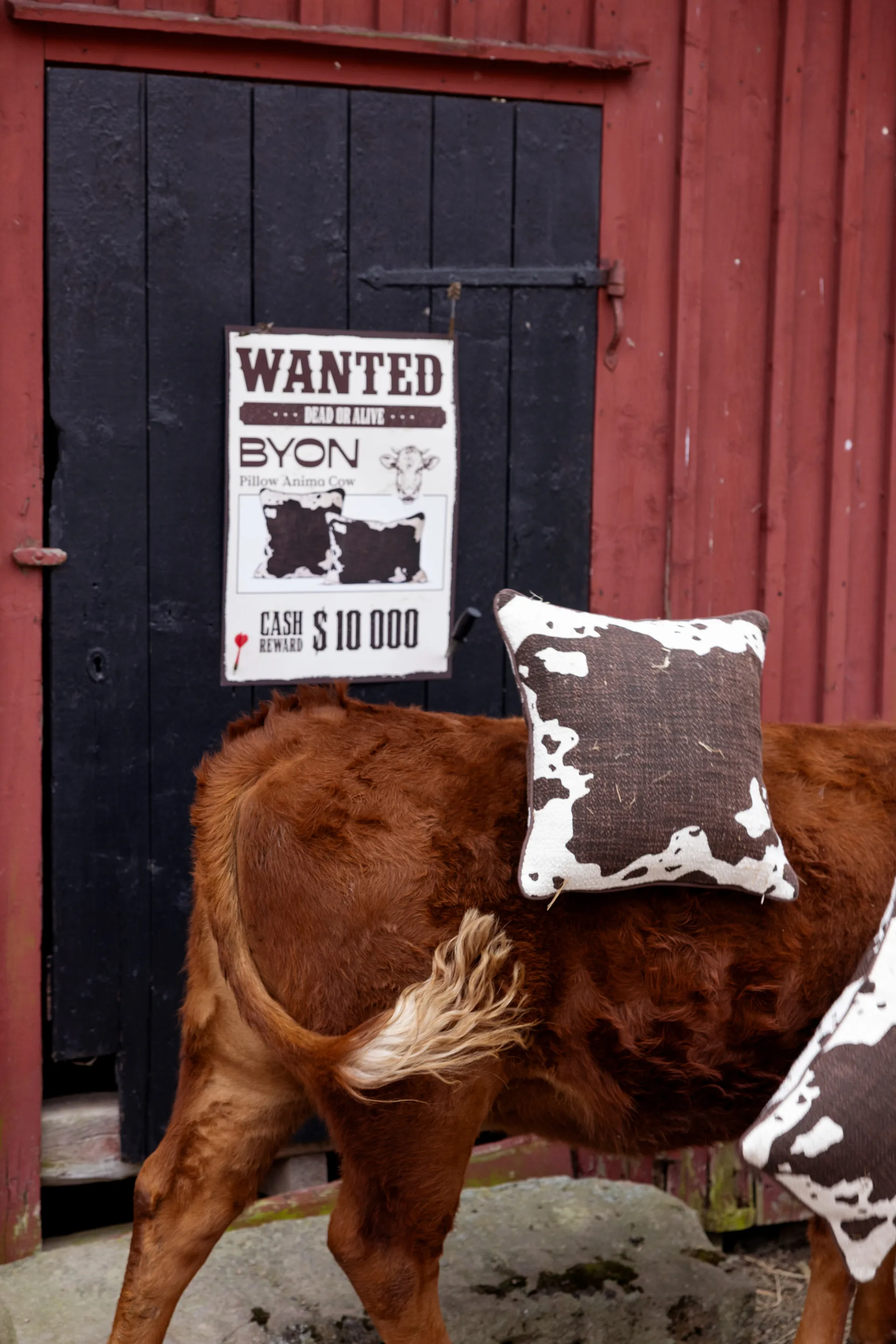 Anima 靠枕|靠垫 M 50x50 cm, 奶牛花纹 Byon