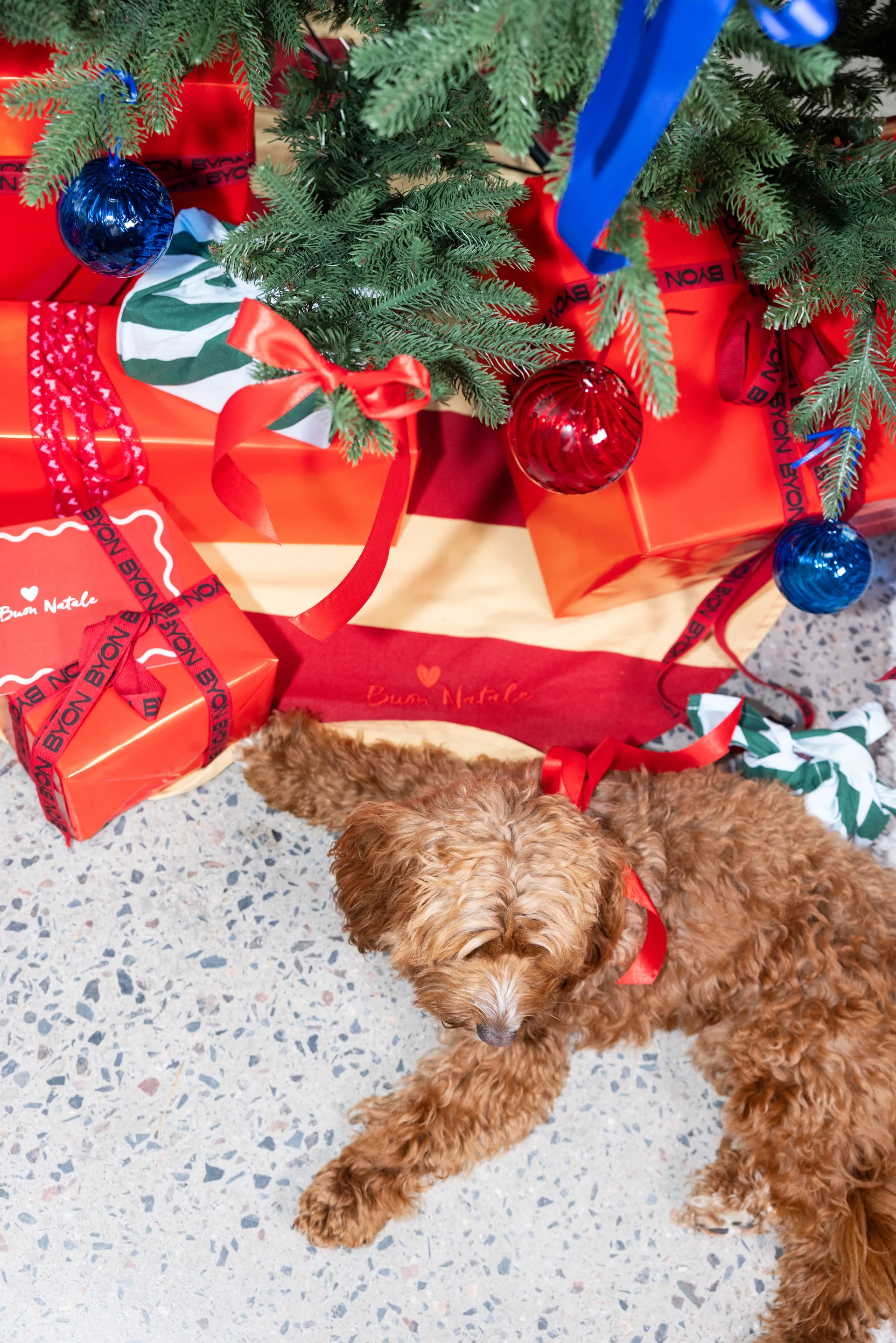 Opacity 圣诞树摆设/挂件/装饰 M Ø8 cm 两件套装, 红色 Byon