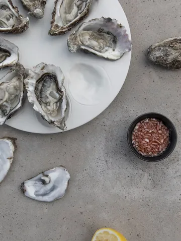 Oyster 餐盘 Ø27cm - 白色 - Byon