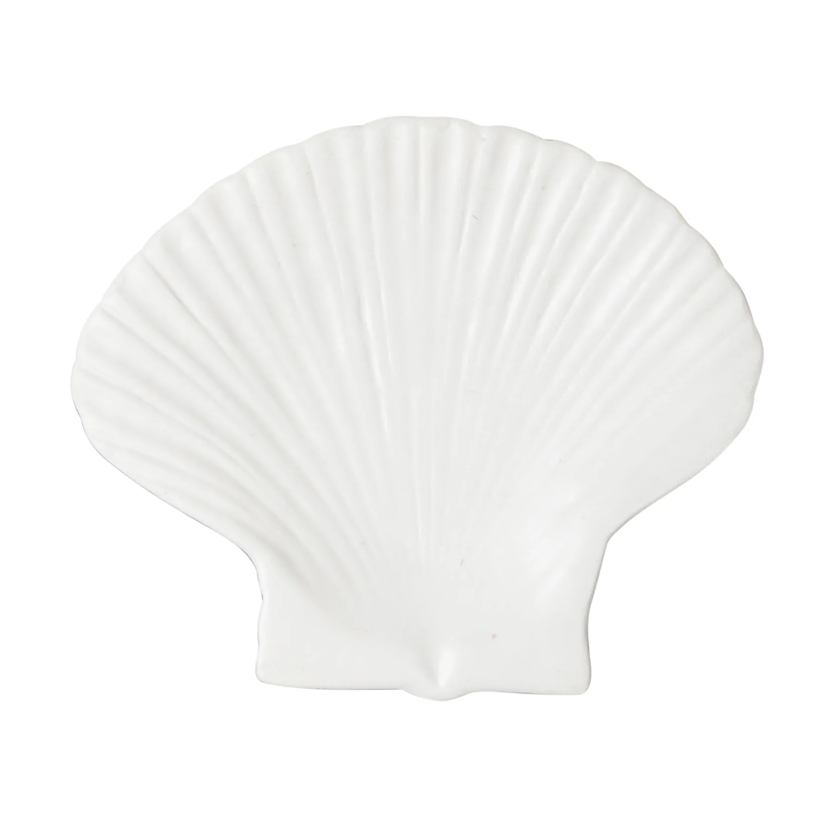 Shell 盘子, 贝壳盘_小号 15.5*13 Byon