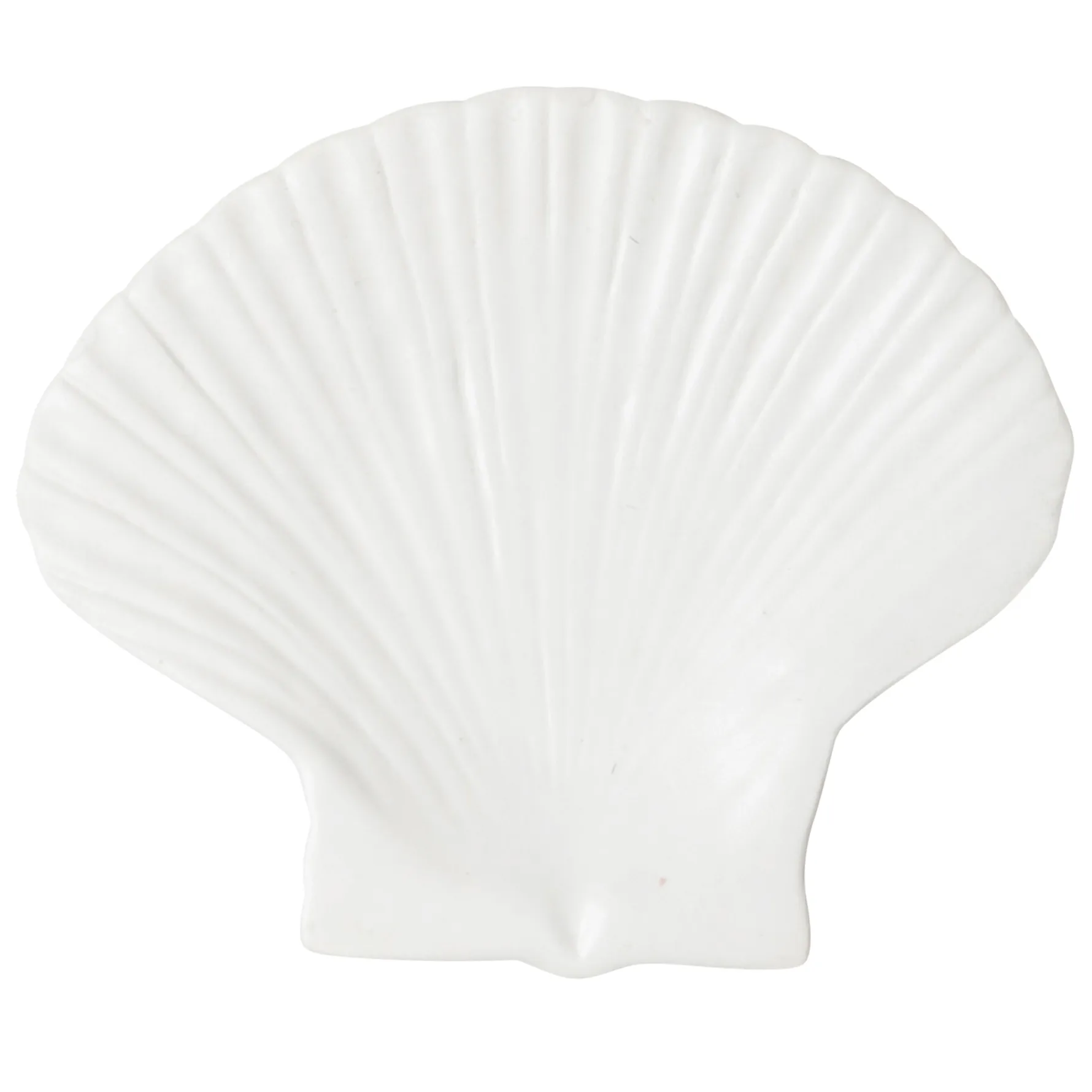 Shell 盘子, 贝壳盘_大号 21.5*18.5 Byon