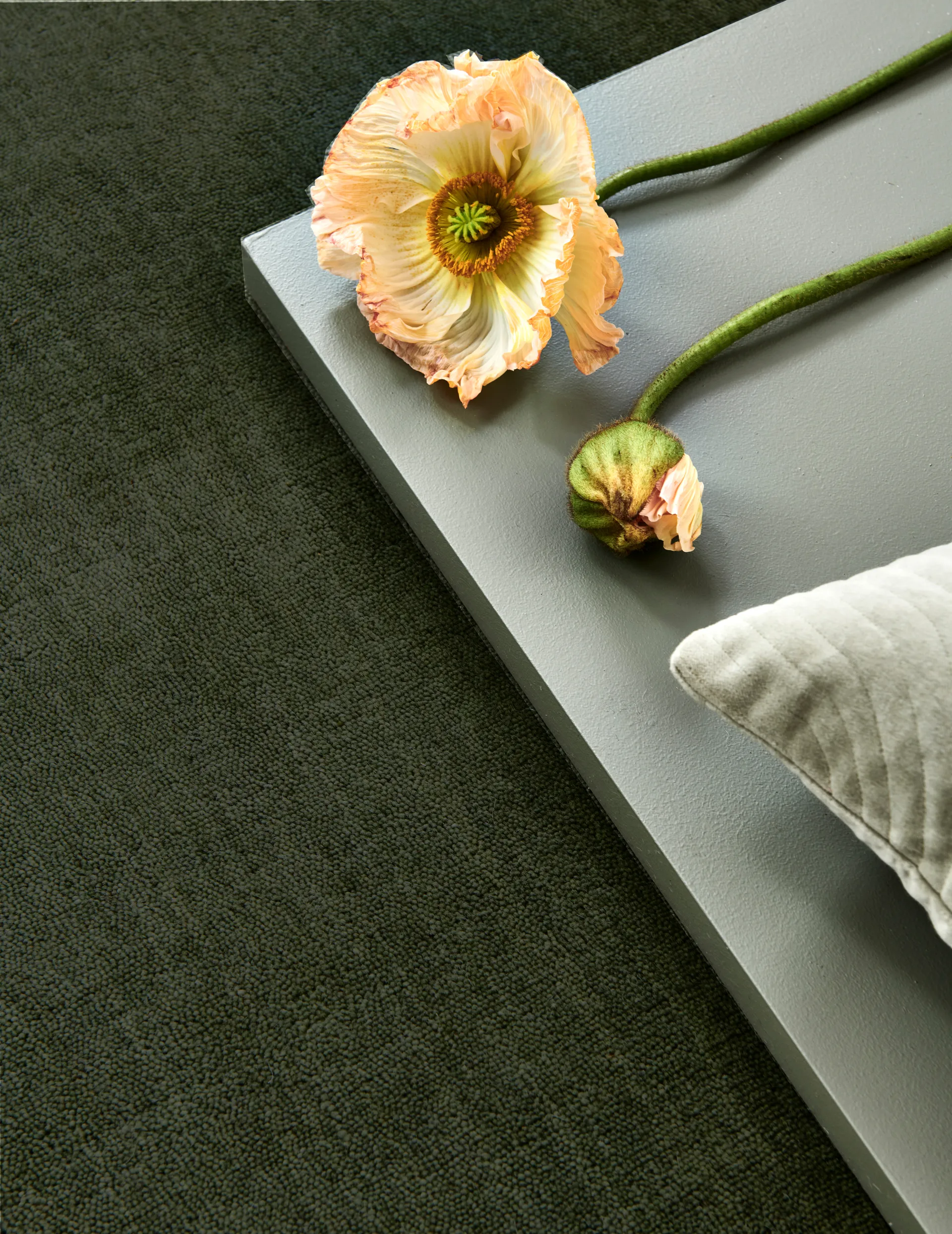 Solid 地毯, 绿色, 170x230 cm Classic Collection