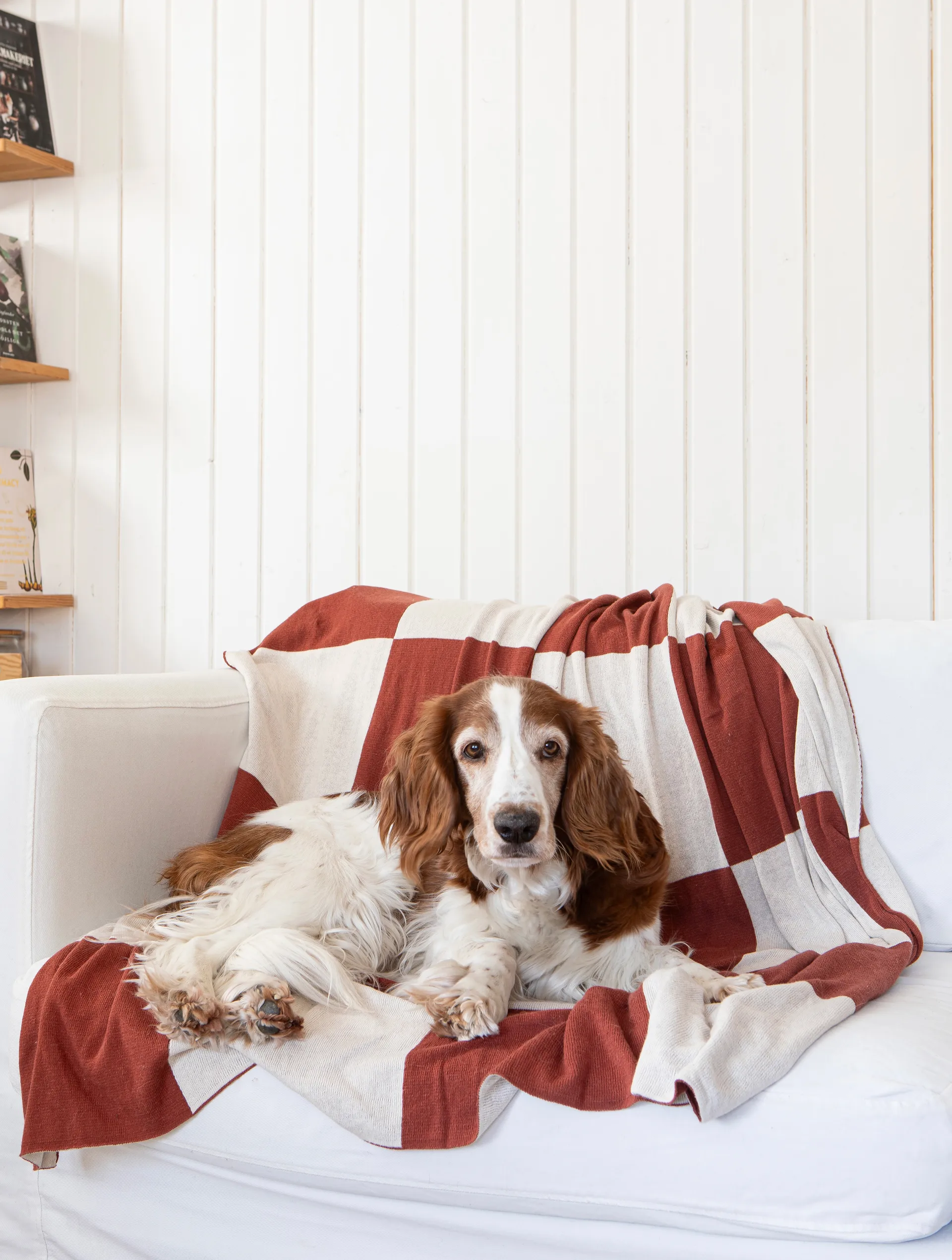 Square 毯子 130x170 cm, 深褐色 Classic Collection