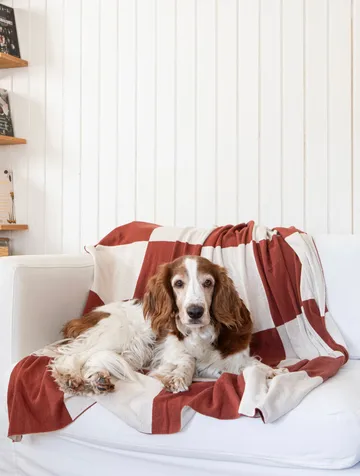 Square 毯子 130x170 cm - 深褐色 - Classic Collection