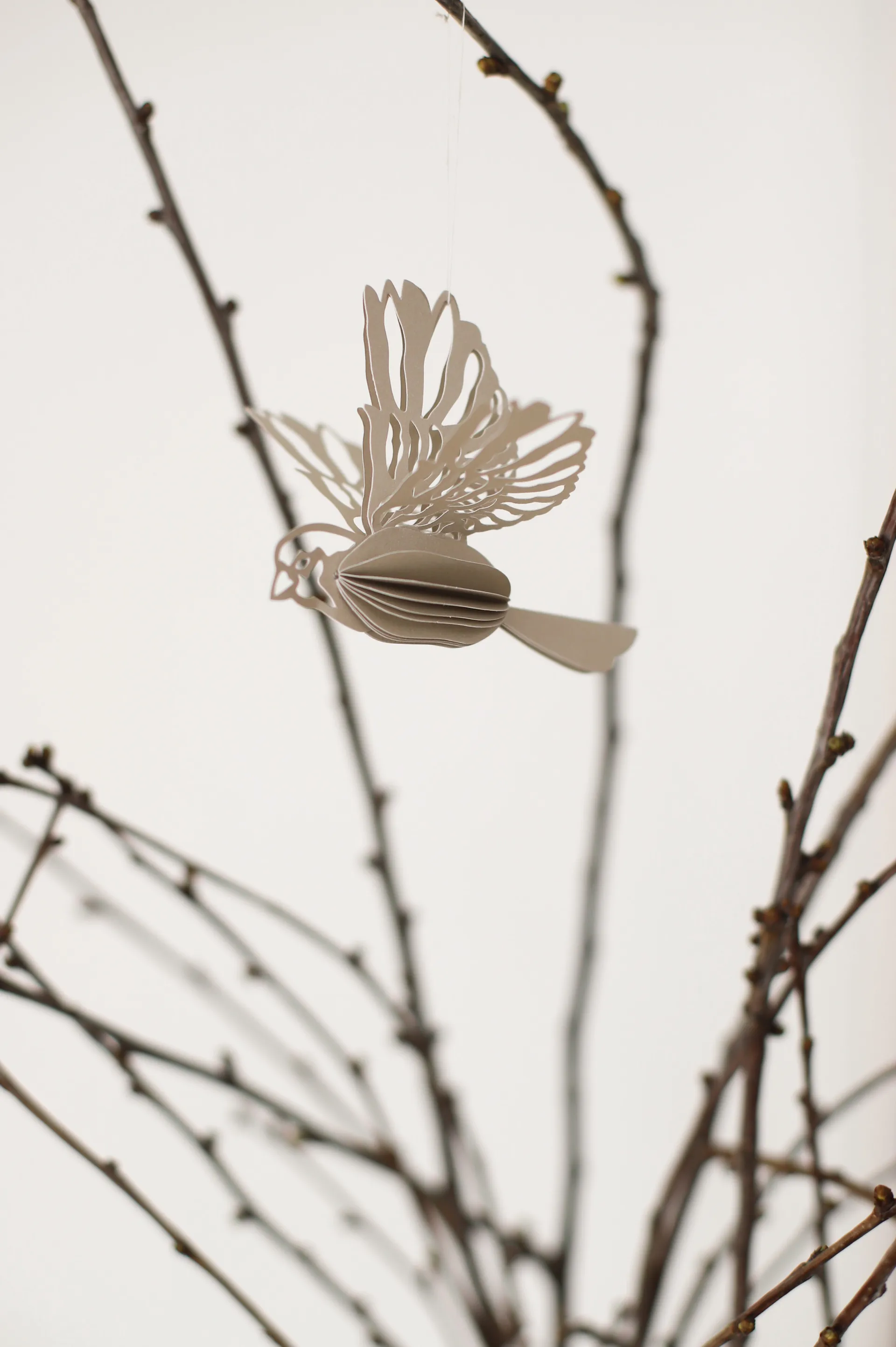 悬挂纸鸟装饰 2件装, 沙色 Cooee Design