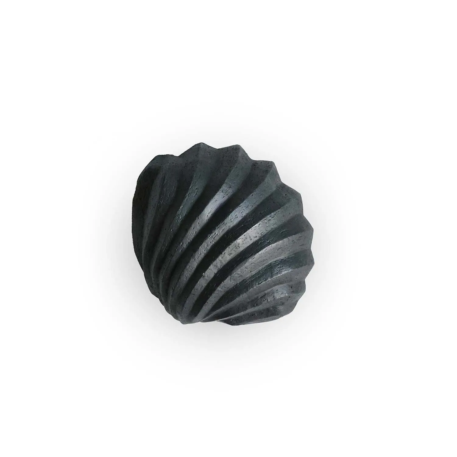 The Clam Shell 雕塑13cm, Coal Cooee Design