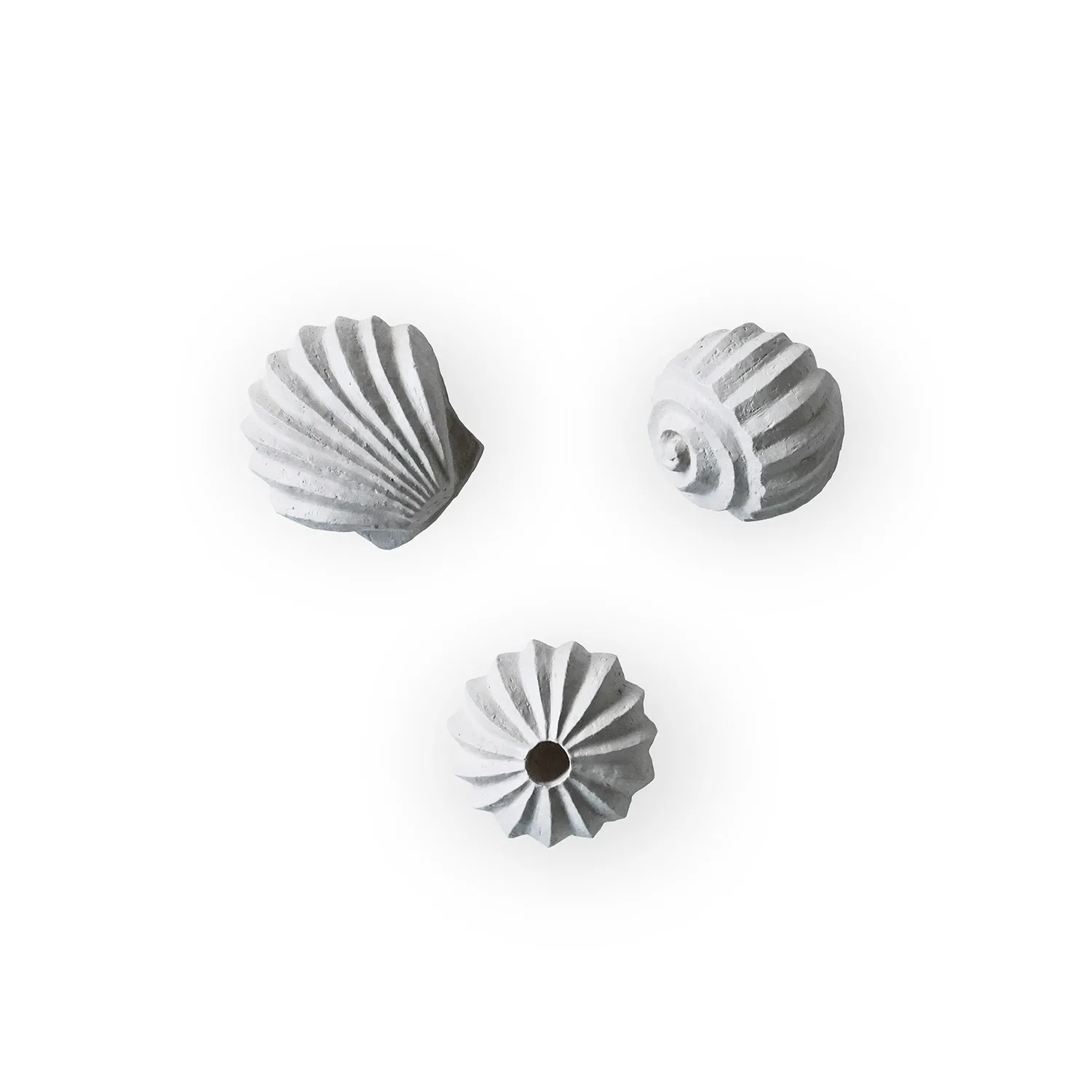 The Genesis Shells 雕塑3件装, 石灰岩色 Cooee Design