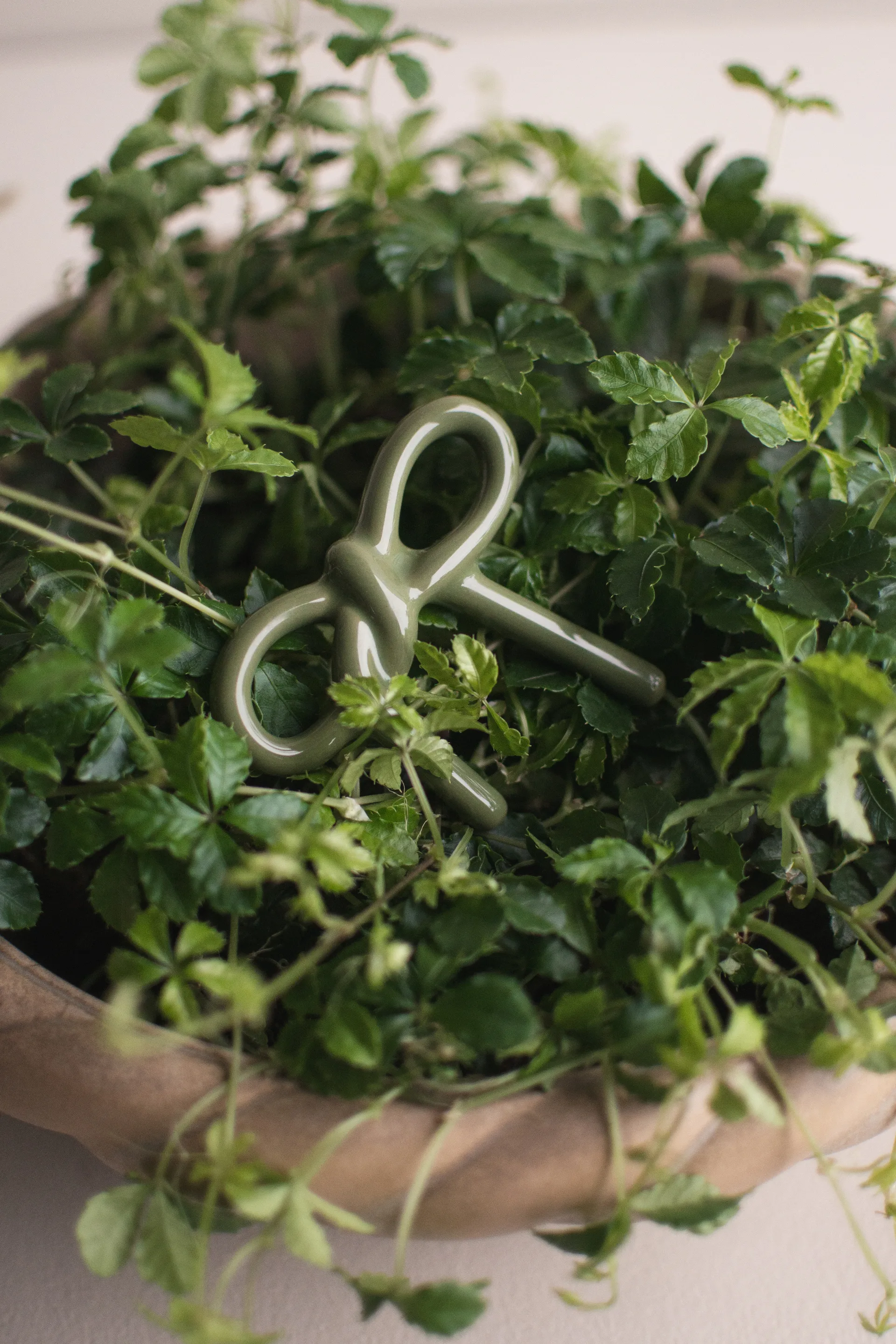 Bow floral 装饰, Shiny 绿色 DBKD