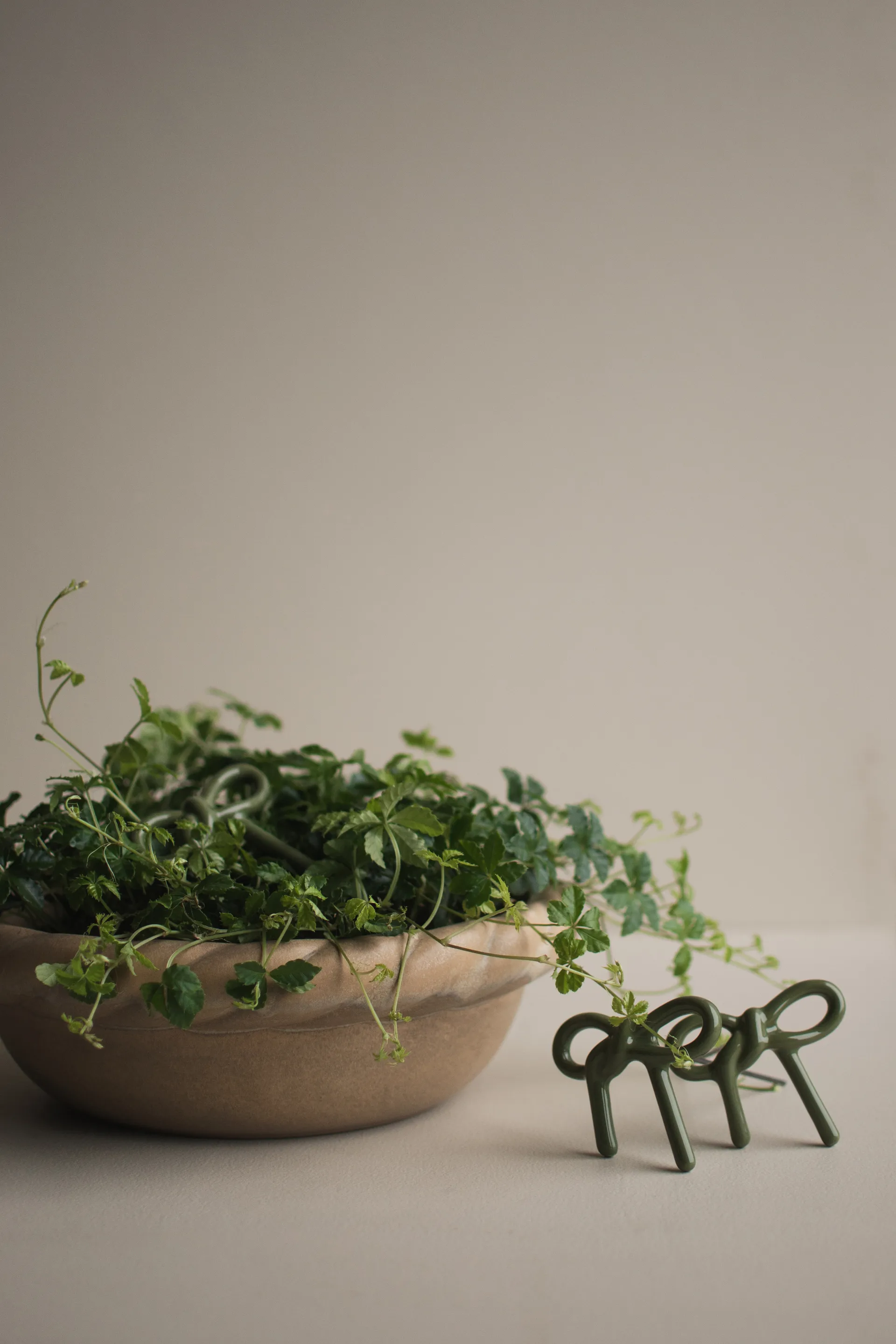 Bow floral 装饰, Shiny 绿色 DBKD