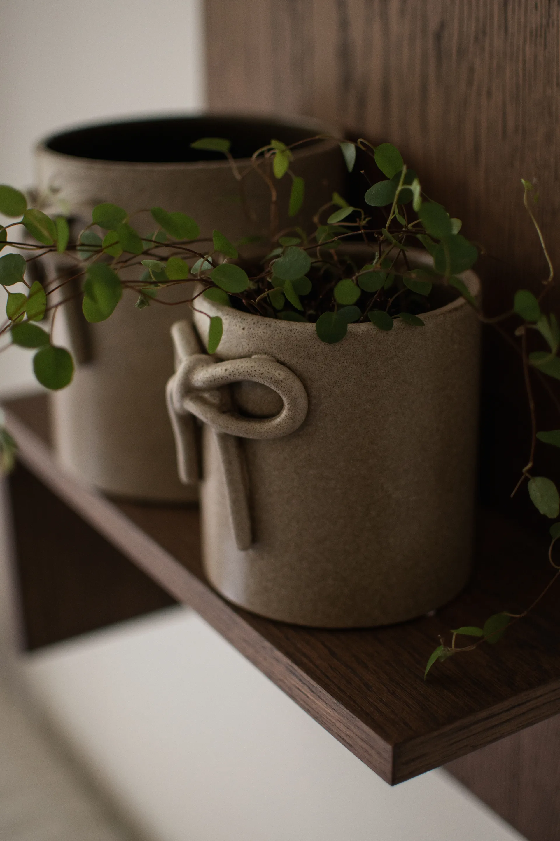 Bow pot Ø11 cm, 米色 DBKD