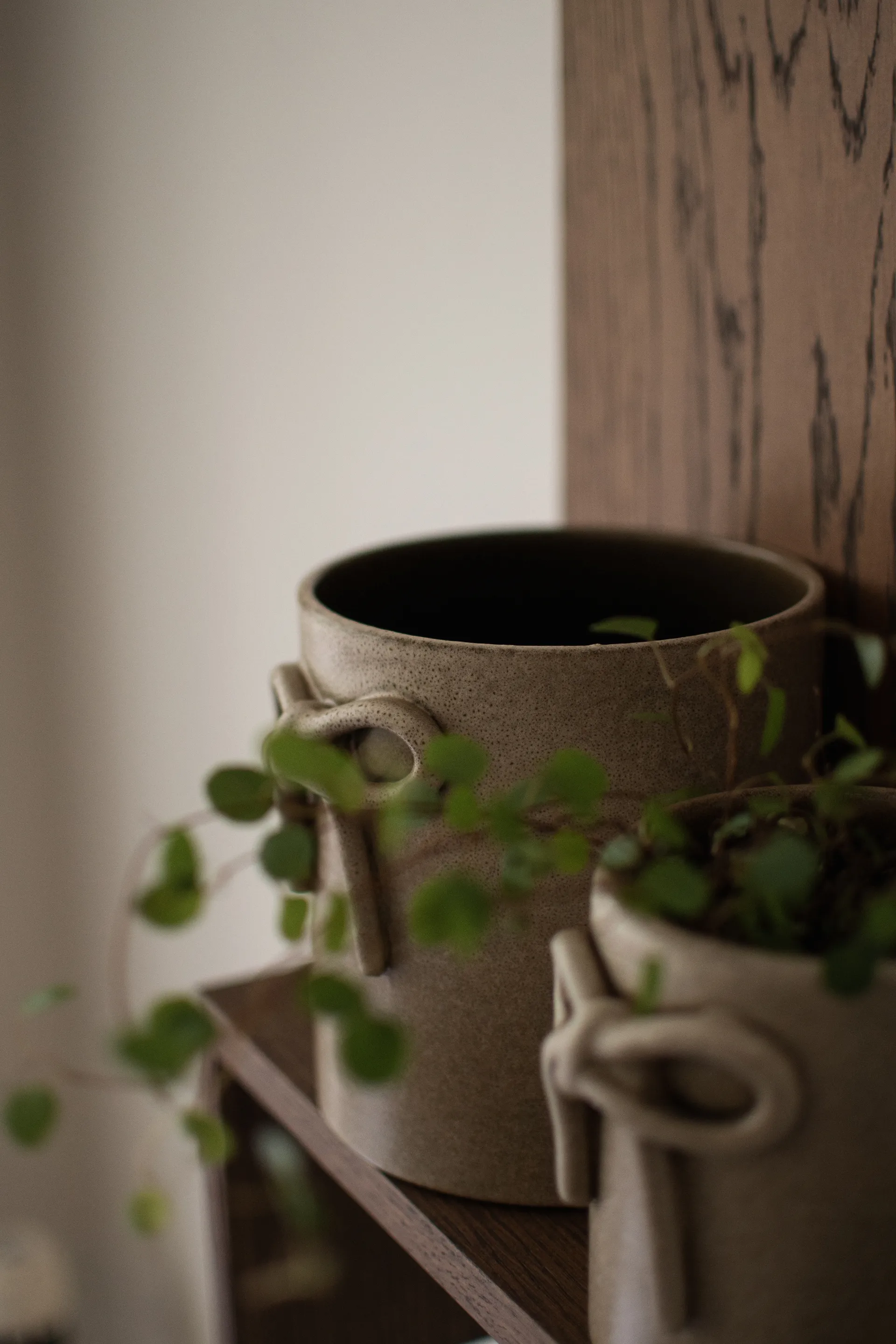 Bow pot Ø14 cm, 米色 DBKD