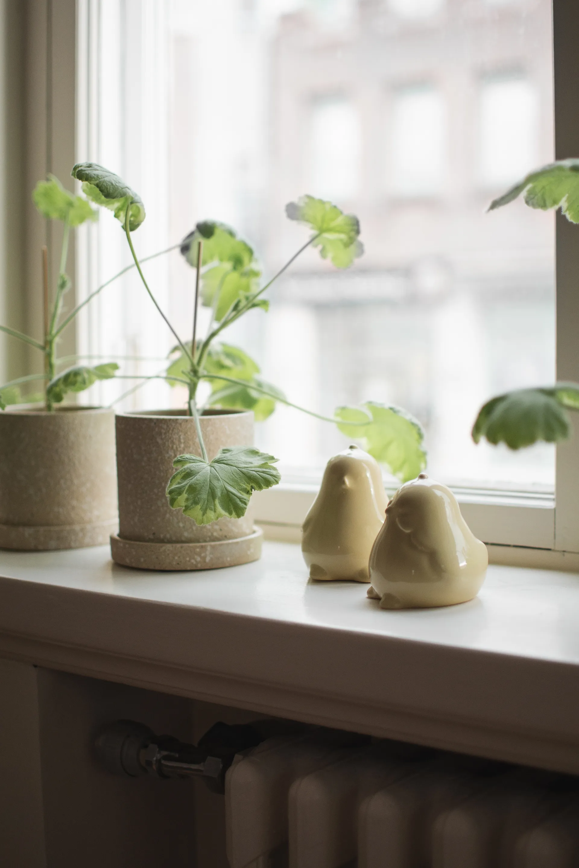 Chubby chicken 复活节装饰 两件套装, Shiny 黄色 DBKD