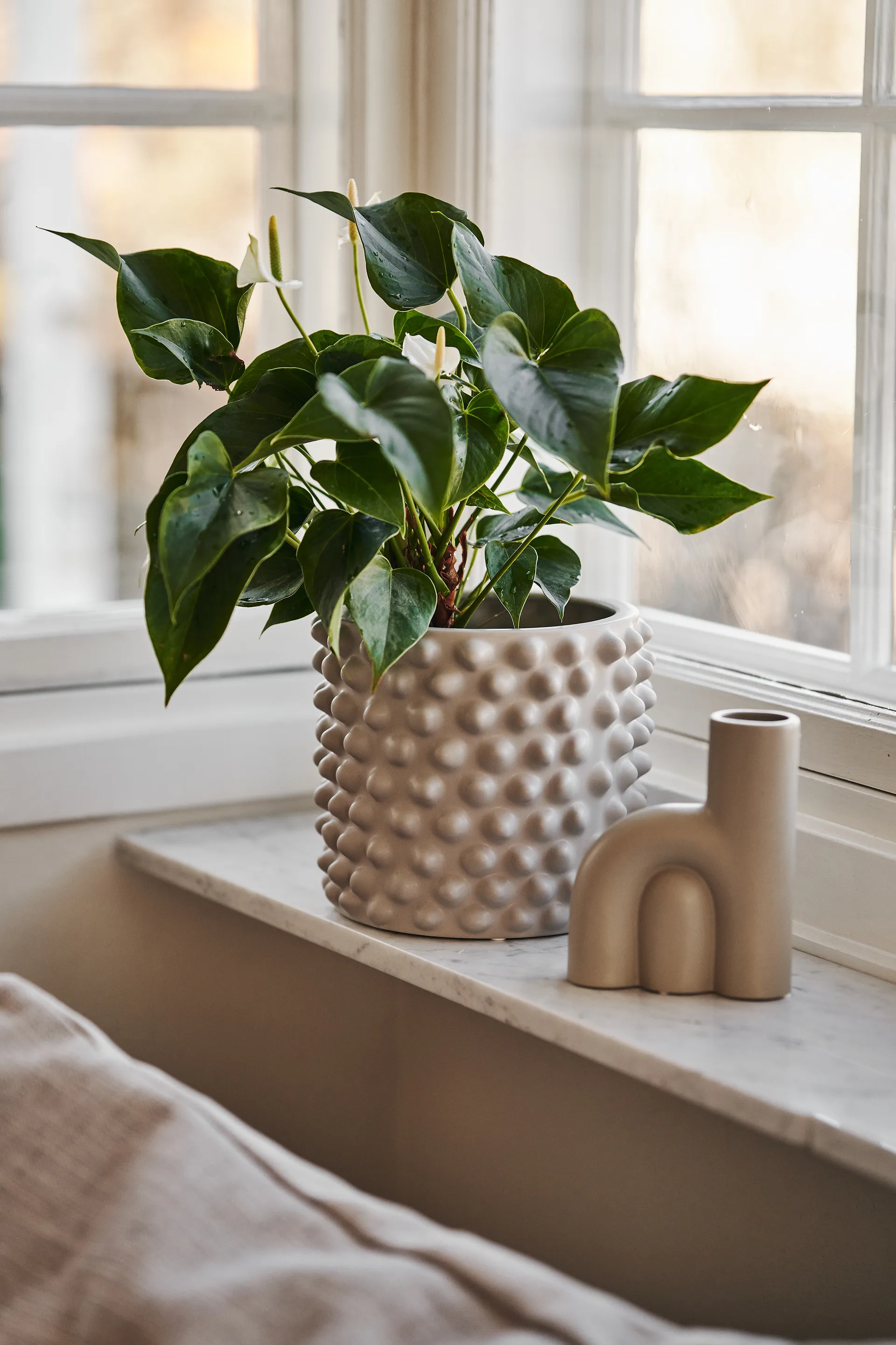 Cloudy 花盆  greige, Liten DBKD