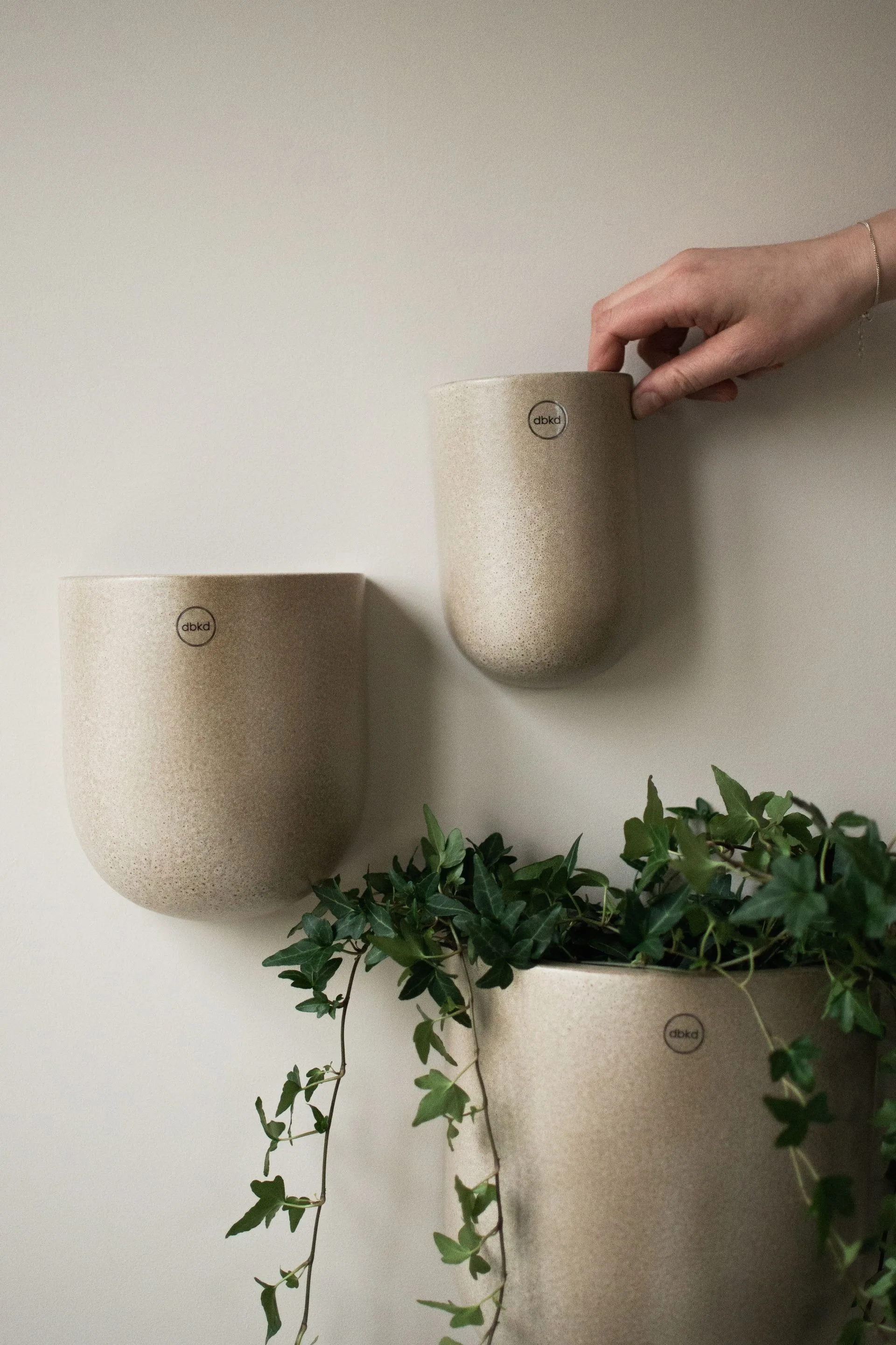 Cut wall-mounted flowerpot beige, X-大 24 cm DBKD