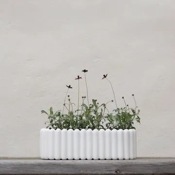 DBKD 椭圆形雾面陶瓷花盆 - 白色 - DBKD