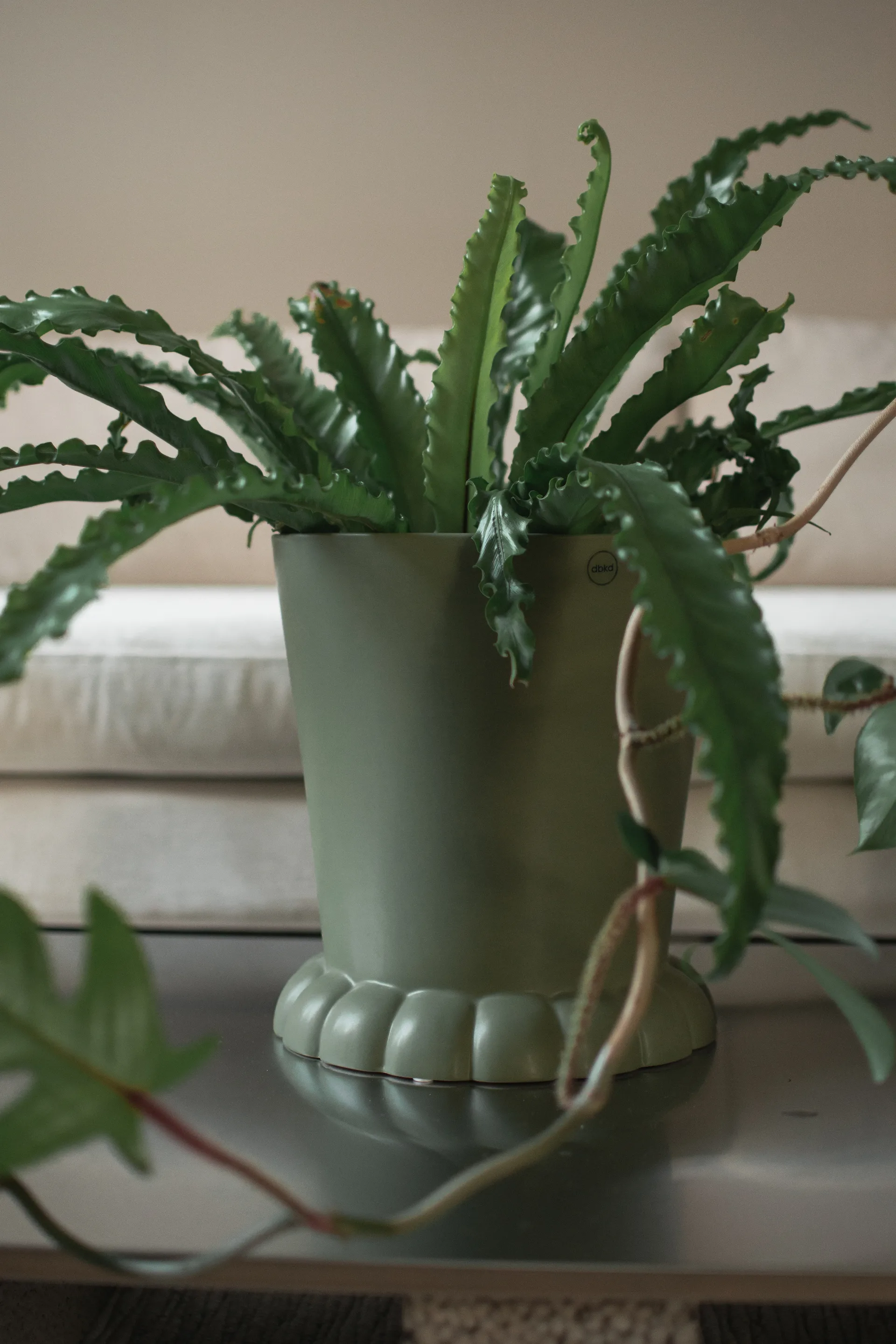 Flora pot Ø25 cm, 绿色 DBKD