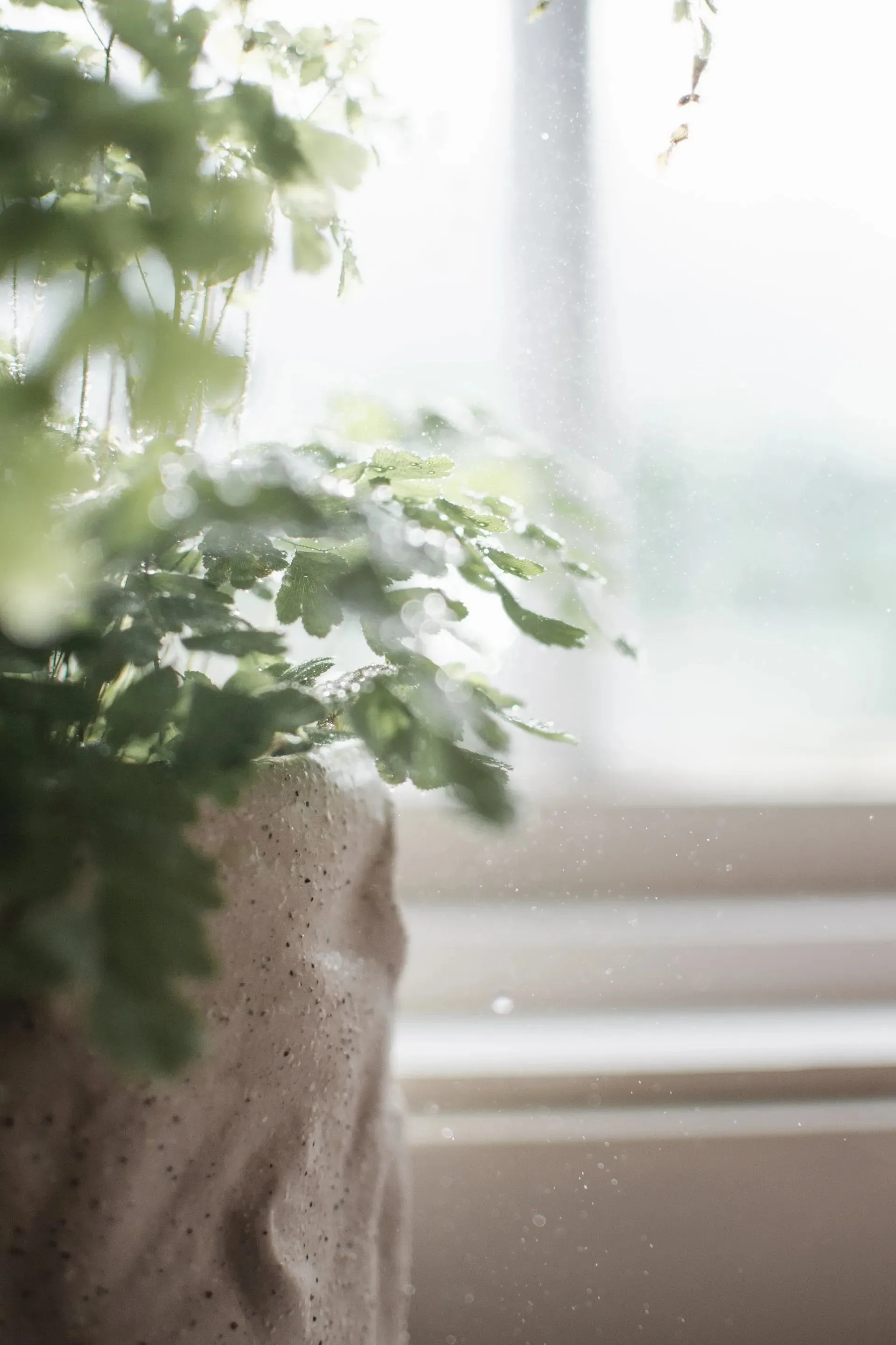 Flow 花盆  Ø15 cm, 沙色 DBKD