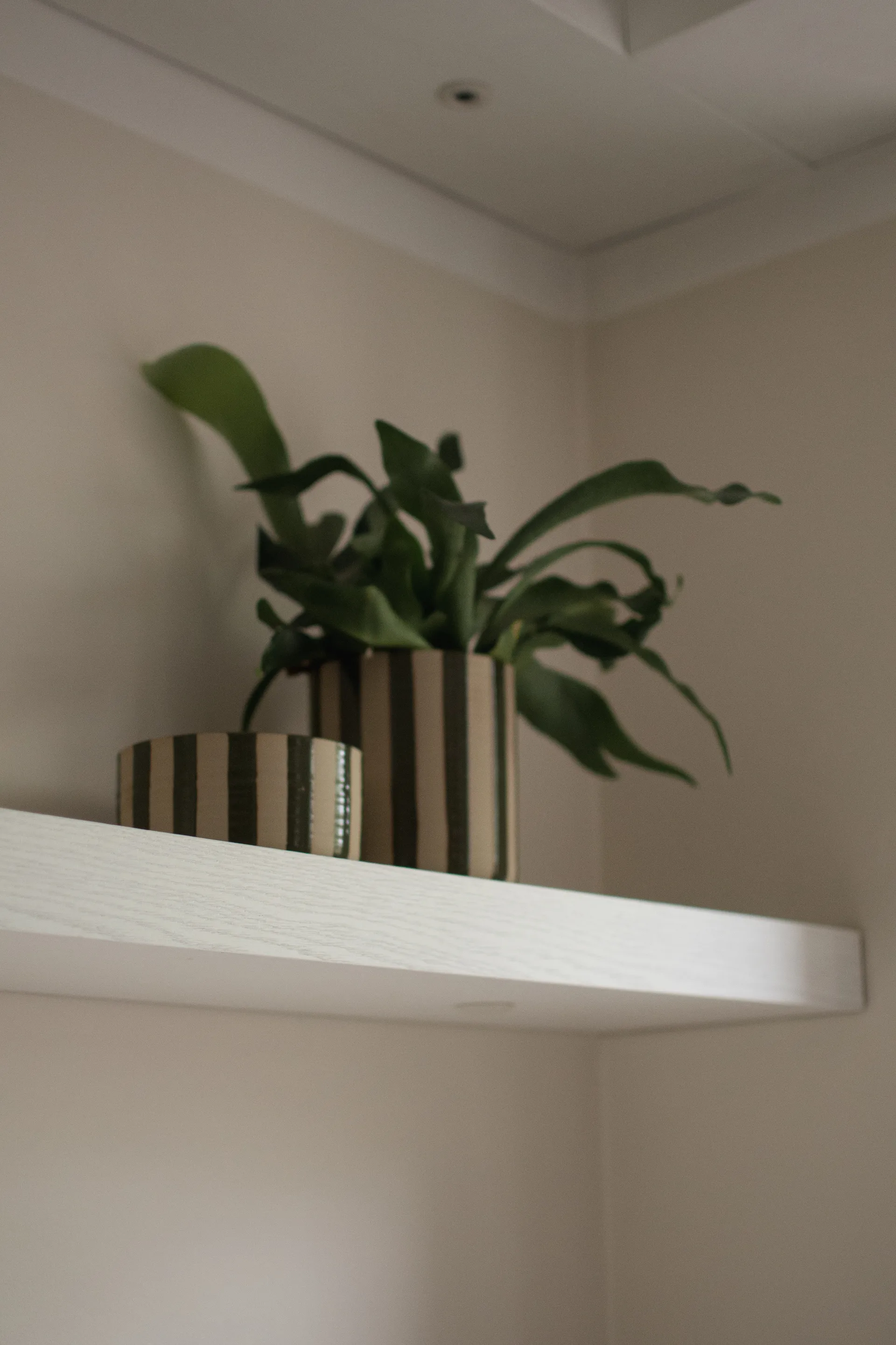 Line 装饰碗 Ø16 cm, Stripe 绿色 DBKD