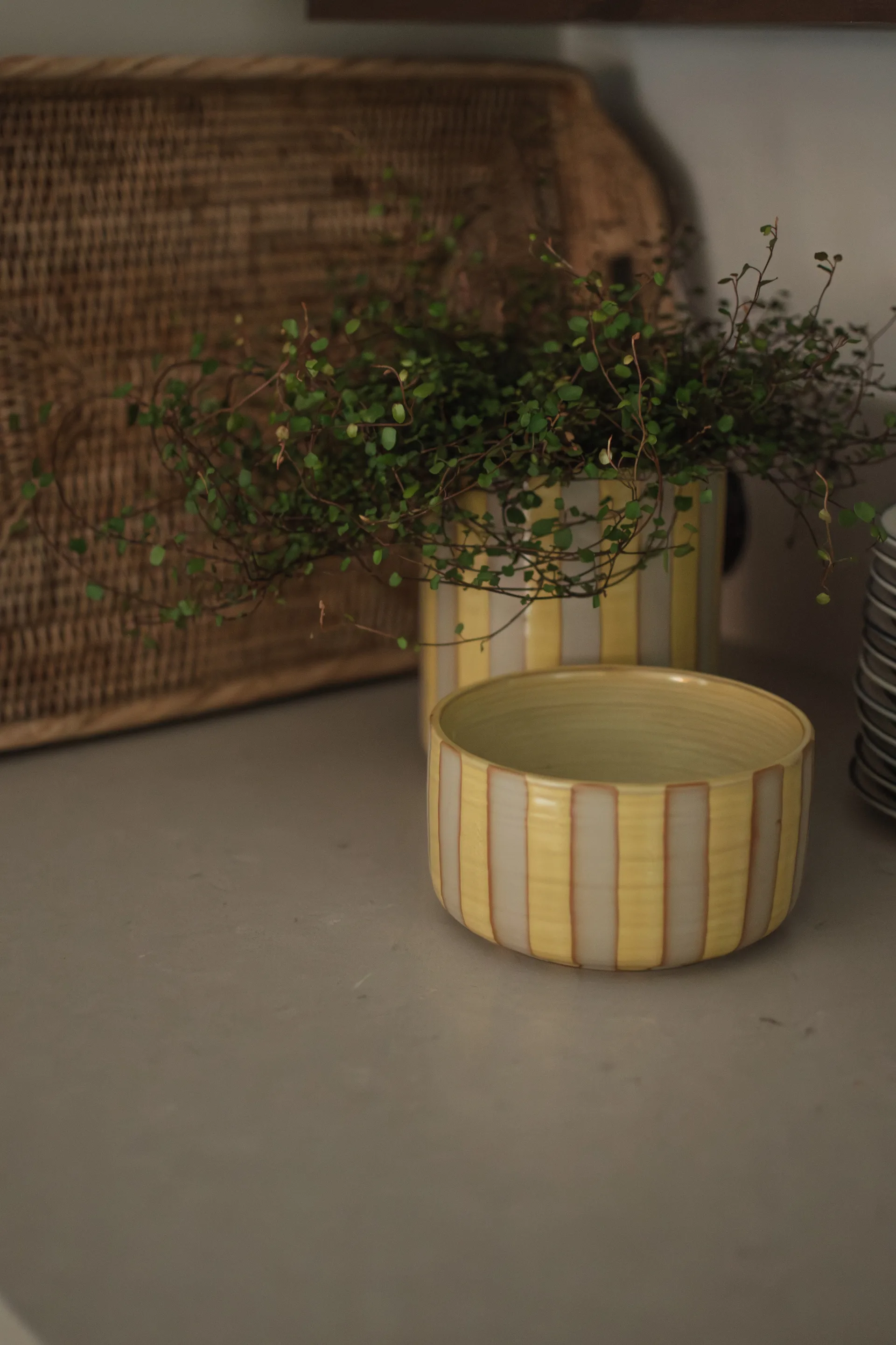 Line 装饰碗 Ø16 cm, 黄色 DBKD