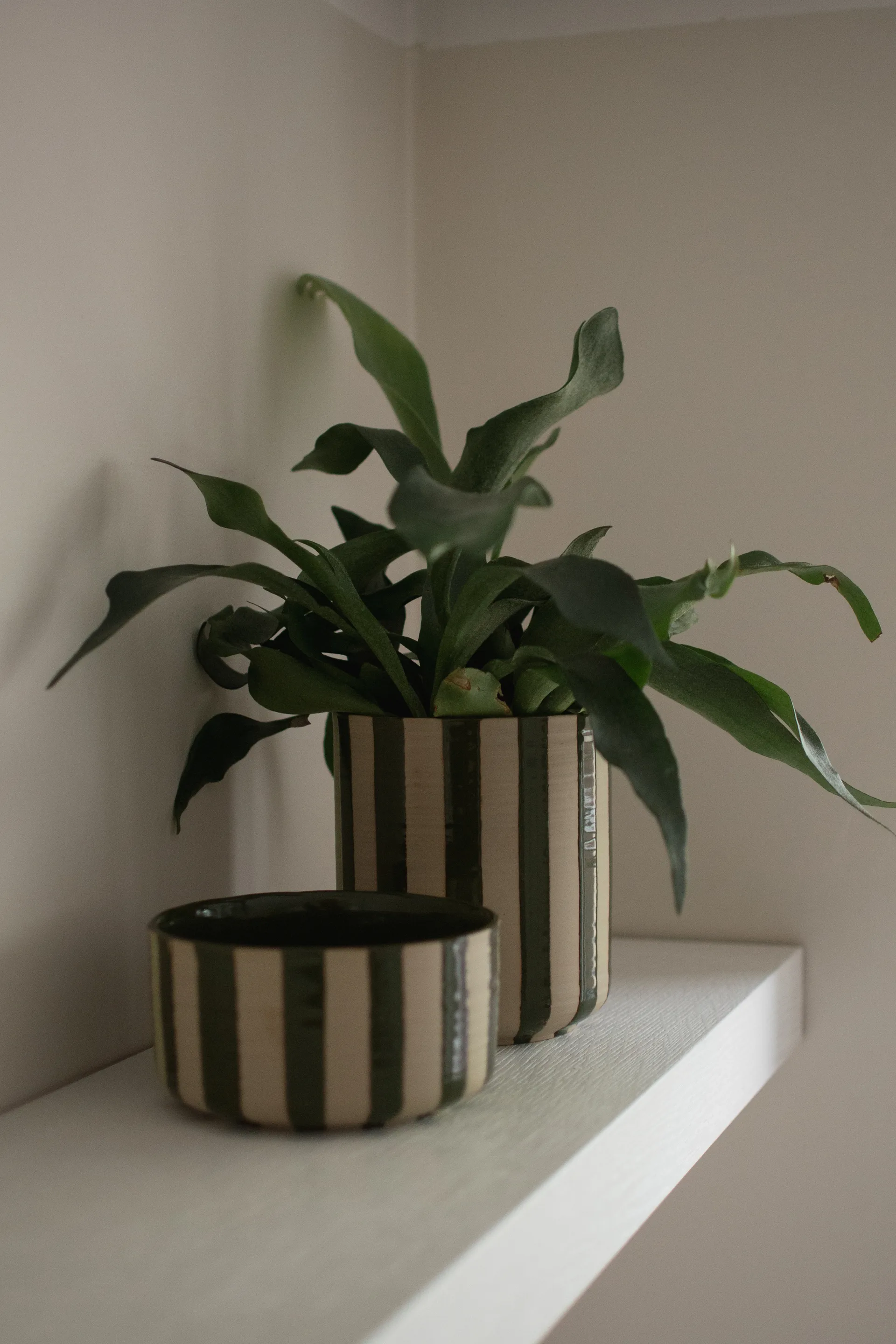 Line pot Ø14x16 cm, Stripe 绿色 DBKD