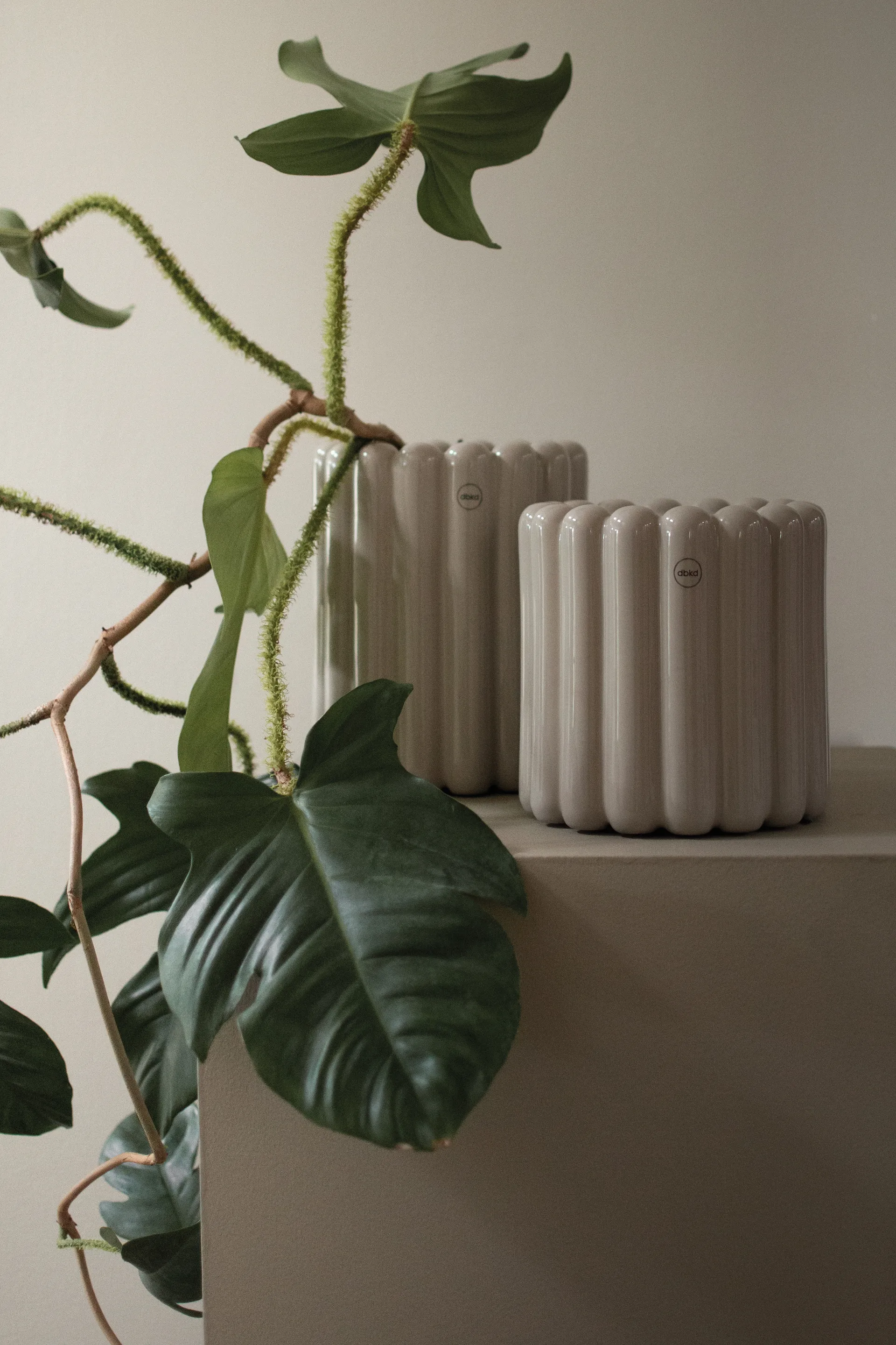 Mist 花盆 小 Ø19x19 cm, Shiny mole DBKD