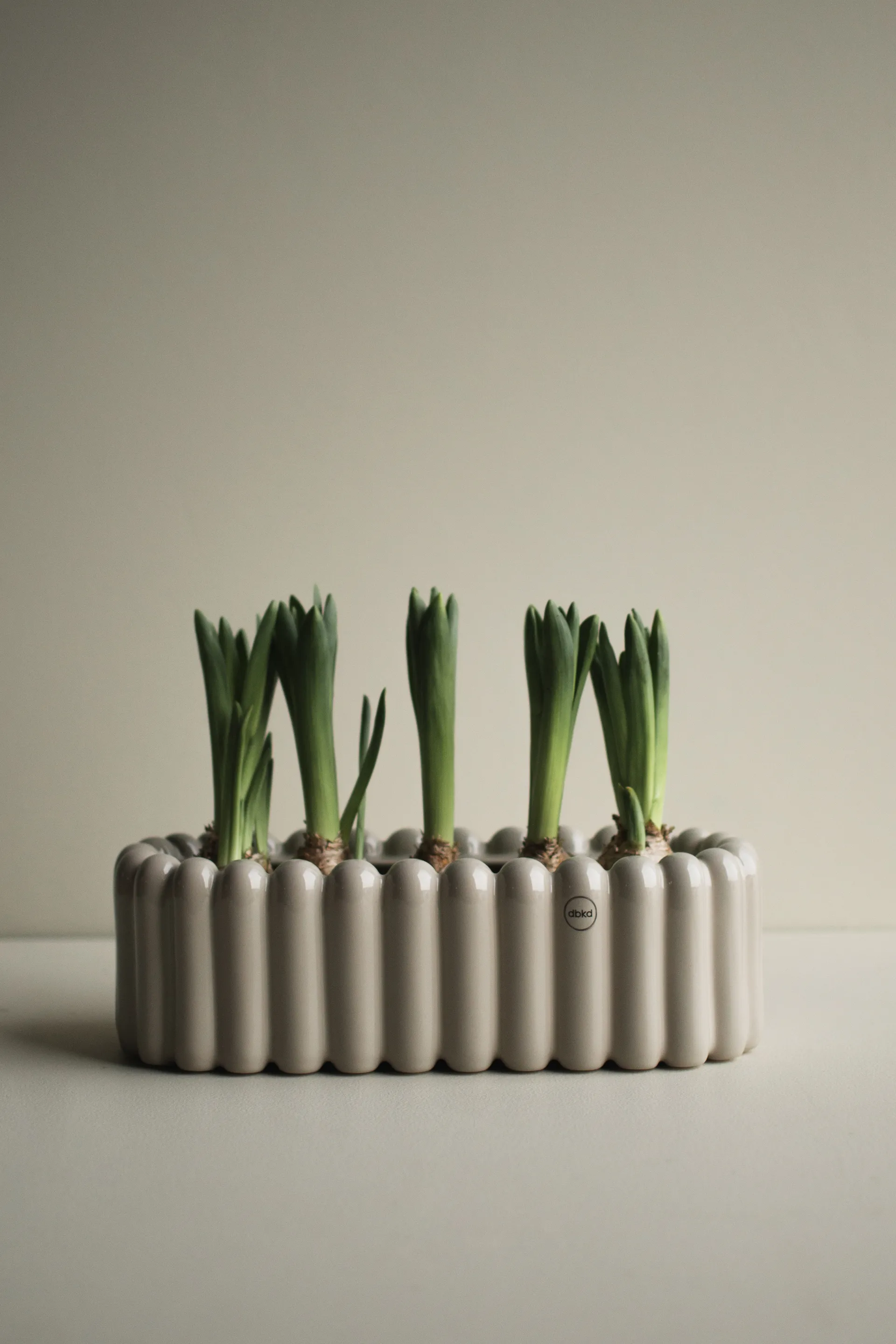 Mist 椭圆形花盆 小号35cm, 亮鼹鼠灰 DBKD