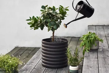 Mud 黑色花盆 - 加大号_Ø 27cm - DBKD