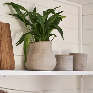 Paper 花盆  mole - Small - DBKD